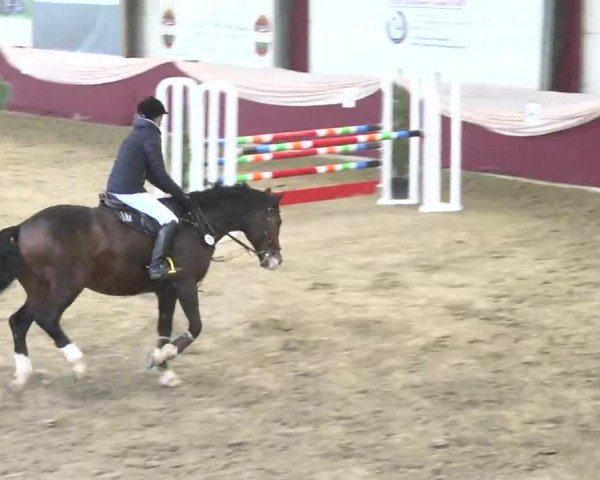 22. Drei-Königs-Hallenturnier Eppelheim 2017