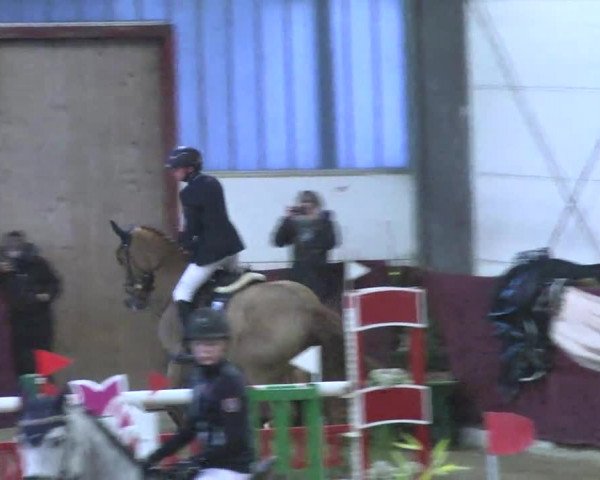 22. Drei-Königs-Hallenturnier Eppelheim 2017