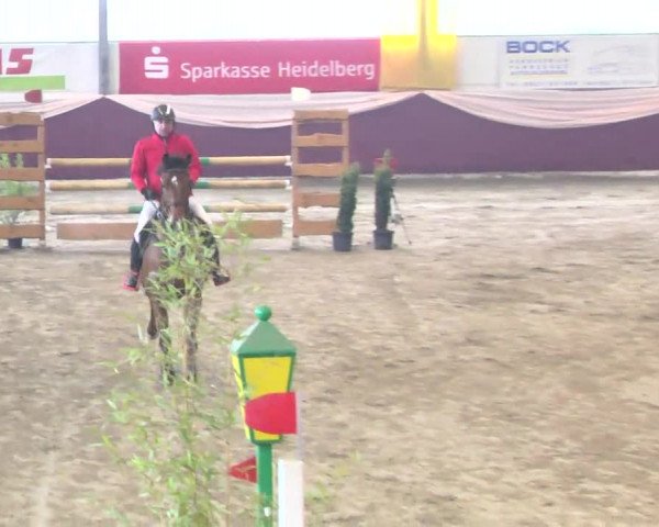 22. Drei-Königs-Hallenturnier Eppelheim 2017