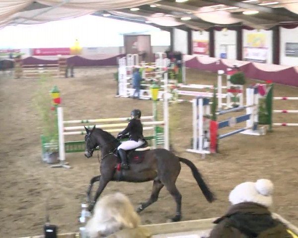 22. Drei-Königs-Hallenturnier Eppelheim 2017