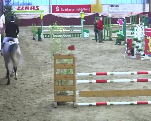 22. Drei-Königs-Hallenturnier Eppelheim 2017