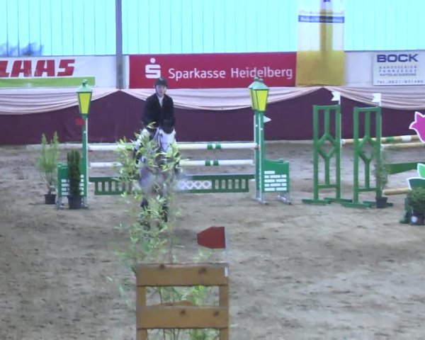 22. Drei-Königs-Hallenturnier Eppelheim 2017