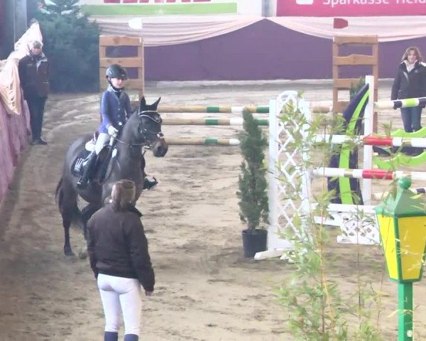 22. Drei-Königs-Hallenturnier Eppelheim 2017