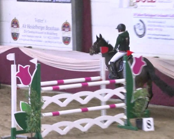 22. Drei-Königs-Hallenturnier Eppelheim 2017
