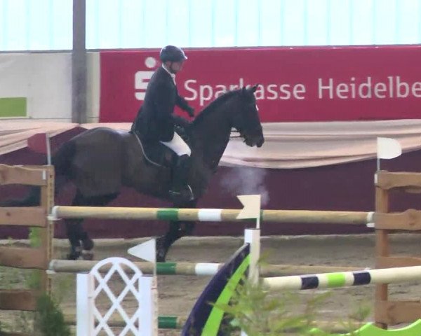22. Drei-Königs-Hallenturnier Eppelheim 2017
