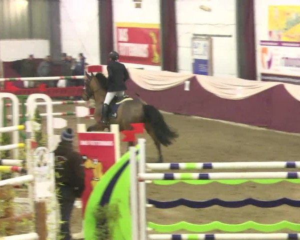 22. Drei-Königs-Hallenturnier Eppelheim 2017