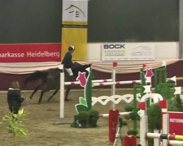 22. Drei-Königs-Hallenturnier Eppelheim 2017