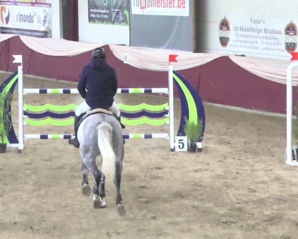 22. Drei-Königs-Hallenturnier Eppelheim 2017