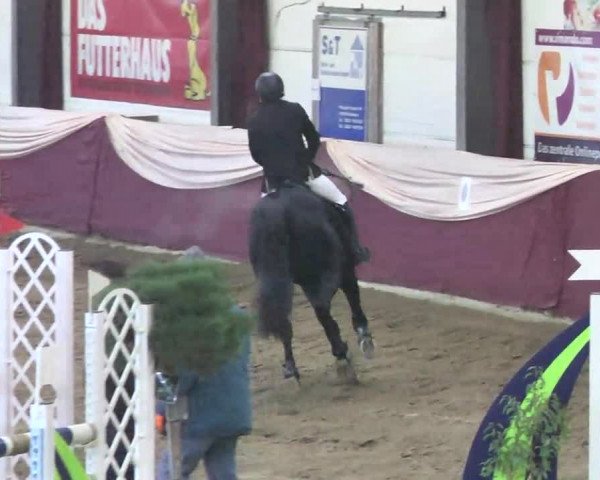 22. Drei-Königs-Hallenturnier Eppelheim 2017