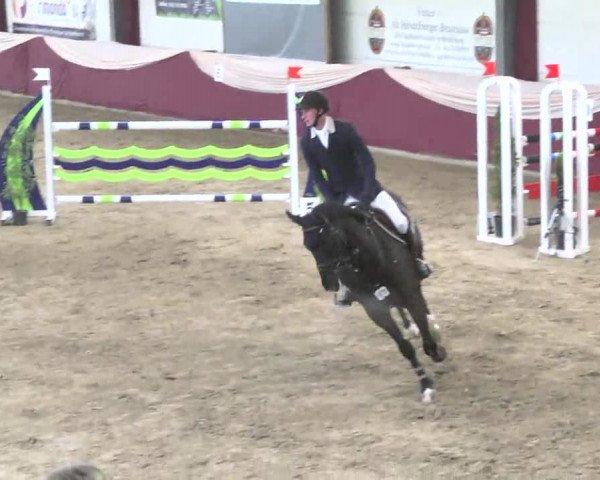 22. Drei-Königs-Hallenturnier Eppelheim 2017