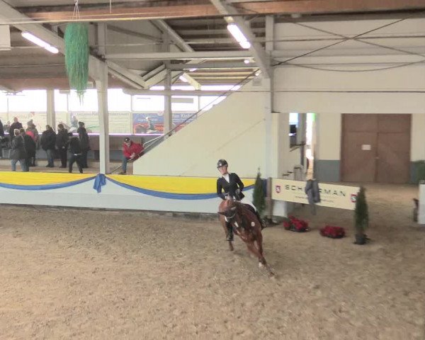 Hallenturnier Vreden 2017