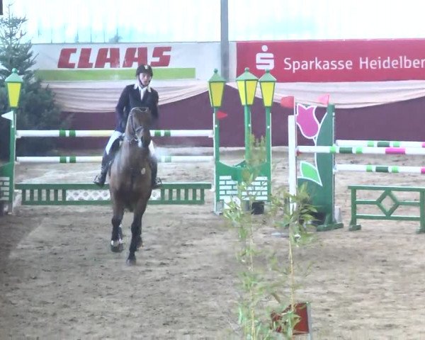 22. Drei-Königs-Hallenturnier Eppelheim 2017