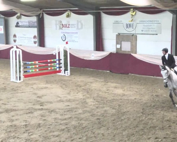 22. Drei-Königs-Hallenturnier Eppelheim 2017
