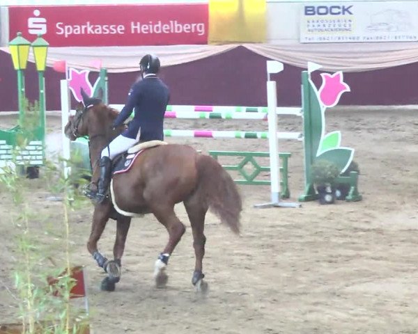 22. Drei-Königs-Hallenturnier Eppelheim 2017