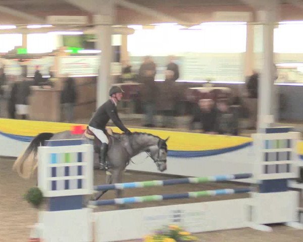 Hallenturnier Vreden 2017
