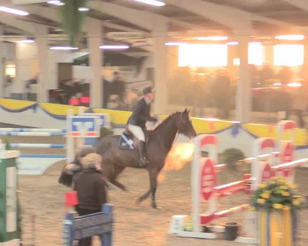 Hallenturnier Vreden 2017