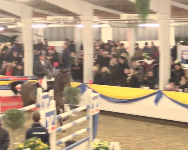 Hallenturnier Vreden 2017