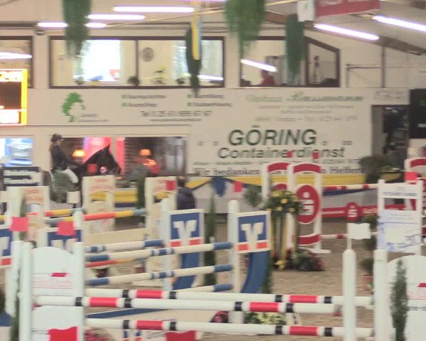 Hallenturnier Vreden 2017