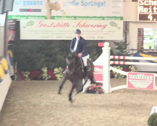 Hallenturnier Vreden 2017