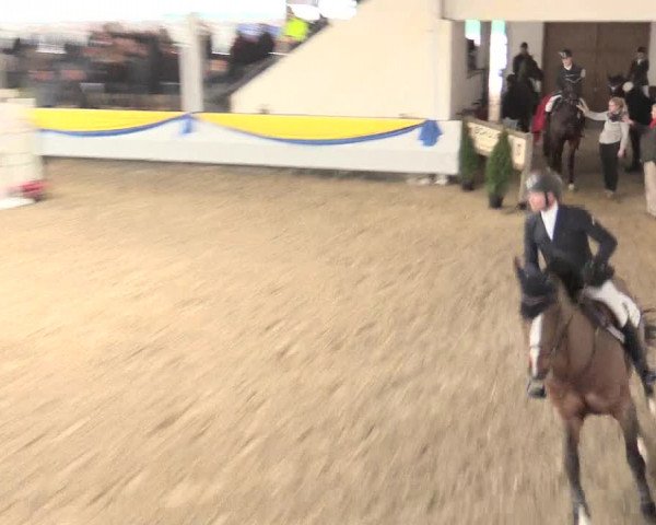 Hallenturnier Vreden 2017
