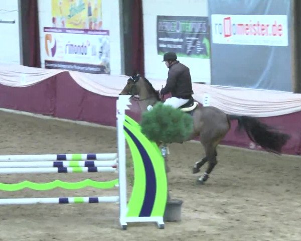 22. Drei-Königs-Hallenturnier Eppelheim 2017