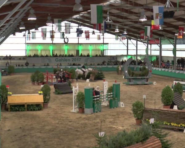 Reitturnier Gahlen 2017