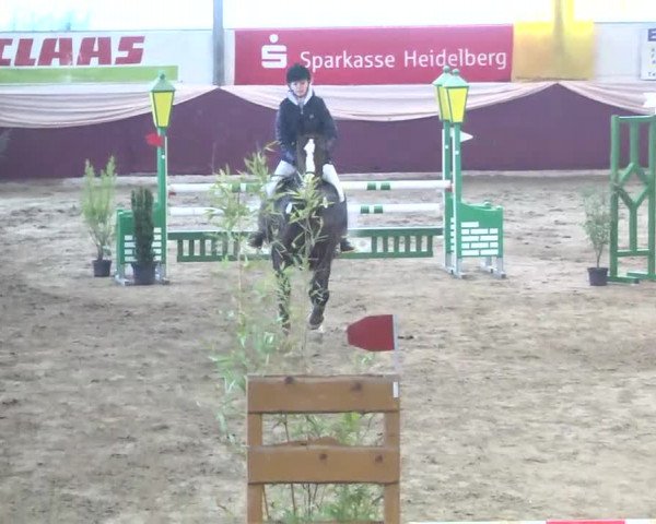 22. Drei-Königs-Hallenturnier Eppelheim 2017