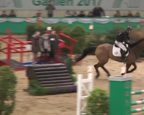 Reitturnier Gahlen 2017