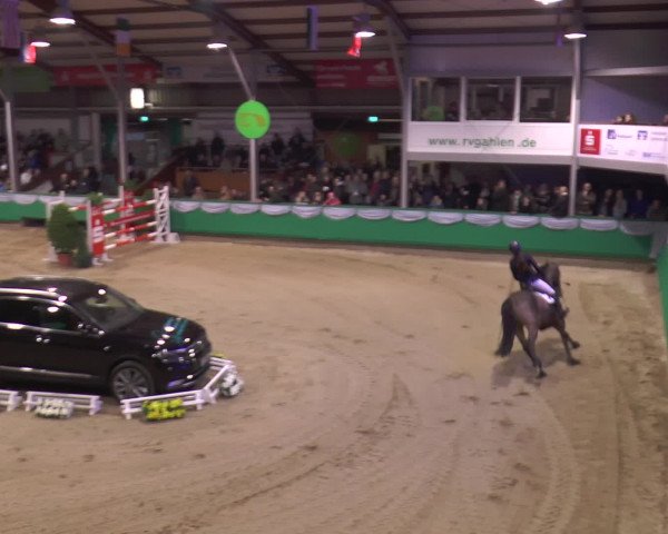 Reitturnier Gahlen 2017