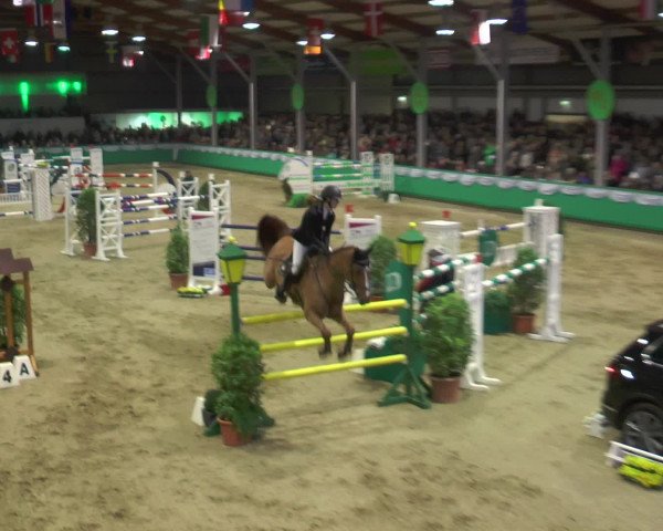 Reitturnier Gahlen 2017