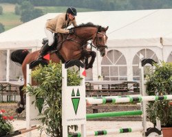 jumper Coretto (Holsteiner, 2012, from Casquetto)