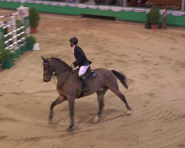 Reitturnier Gahlen 2017