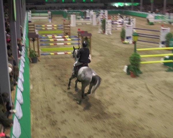 Reitturnier Gahlen 2017