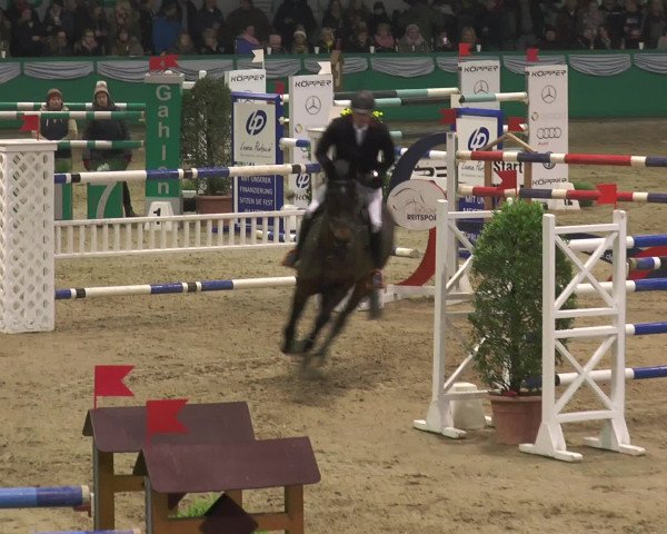 Reitturnier Gahlen 2017