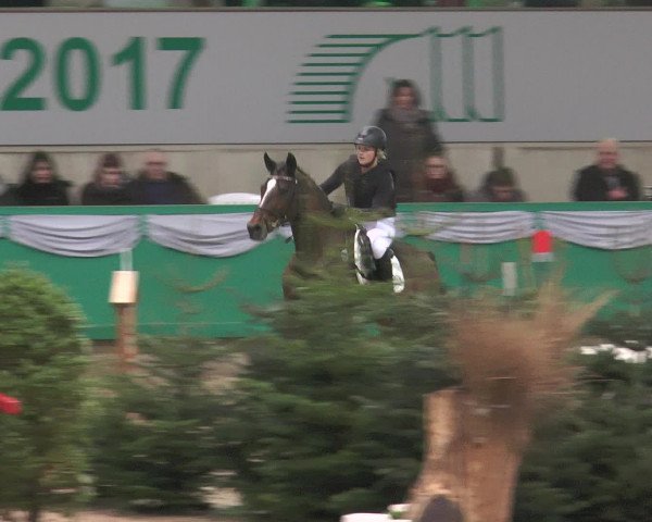 Reitturnier Gahlen 2017