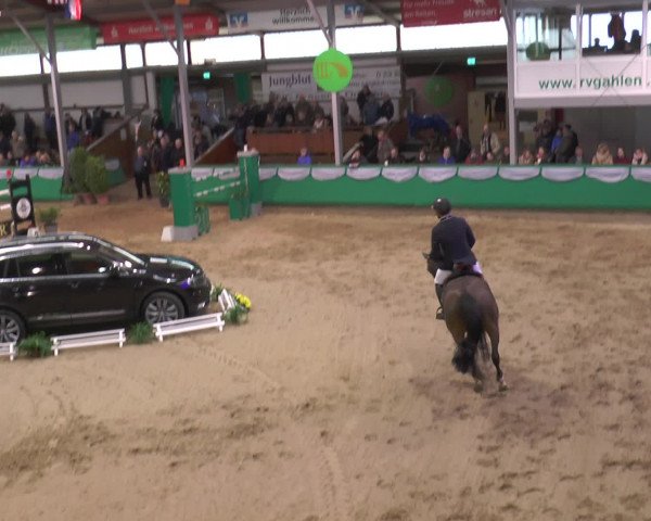 Reitturnier Gahlen 2017