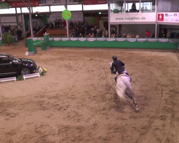 Reitturnier Gahlen 2017