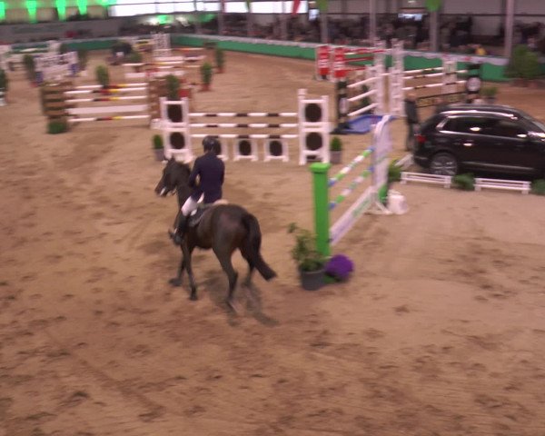 Reitturnier Gahlen 2017
