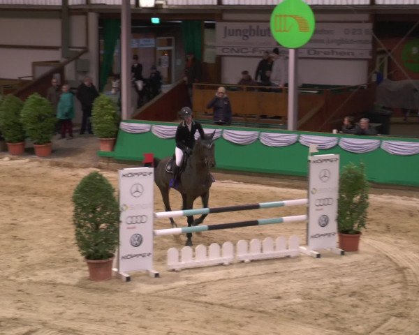 Reitturnier Gahlen 2017