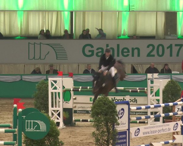 Reitturnier Gahlen 2017