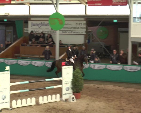 Reitturnier Gahlen 2017