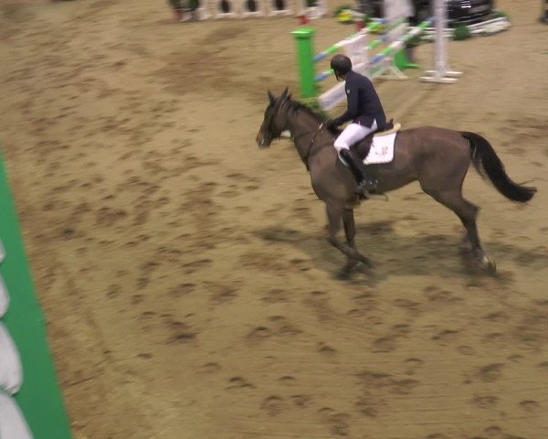Reitturnier Gahlen 2017