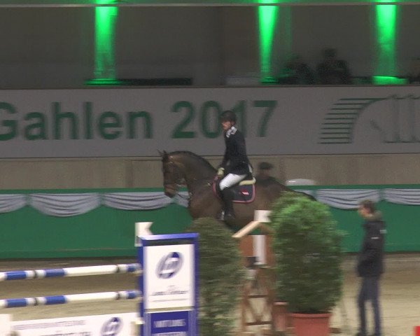Reitturnier Gahlen 2017