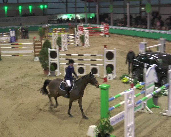 Reitturnier Gahlen 2017