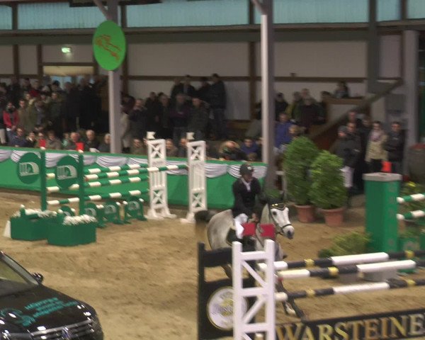 Reitturnier Gahlen 2017