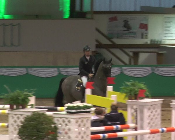 Reitturnier Gahlen 2017
