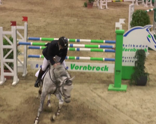 Reitturnier Gahlen 2017