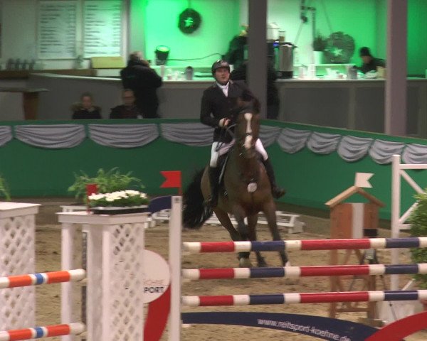Reitturnier Gahlen 2017