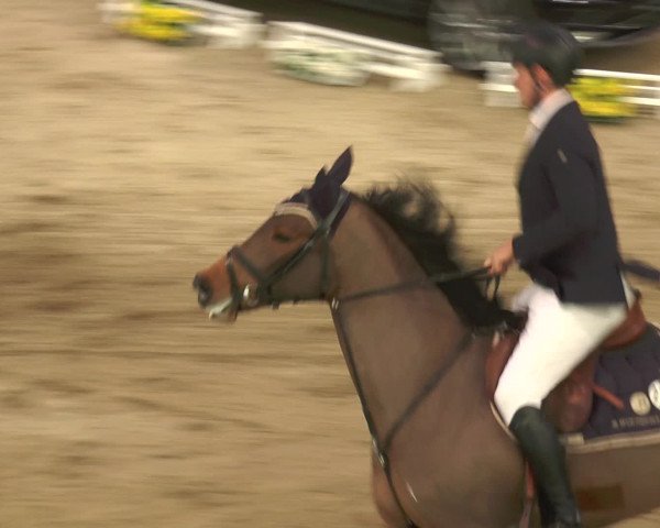Reitturnier Gahlen 2017
