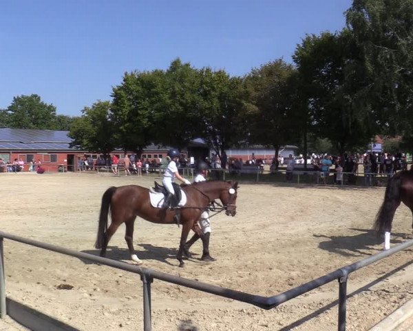 Reitturnier Ascheberg 2021